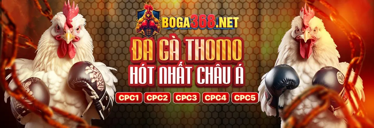 Hình ảnh Điều khoản dịch vụ của Sinlabet Nhà Cái
